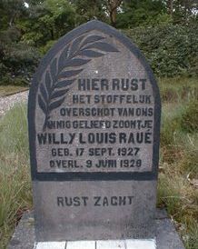Willy Louis Raué